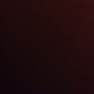 Meet your Posher, Alli